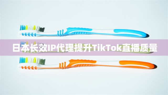 日本长效IP代理提升TikTok直播质量