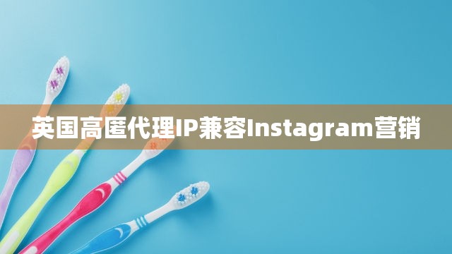 英国高匿代理IP兼容Instagram营销