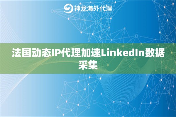 法国动态IP代理加速LinkedIn数据采集