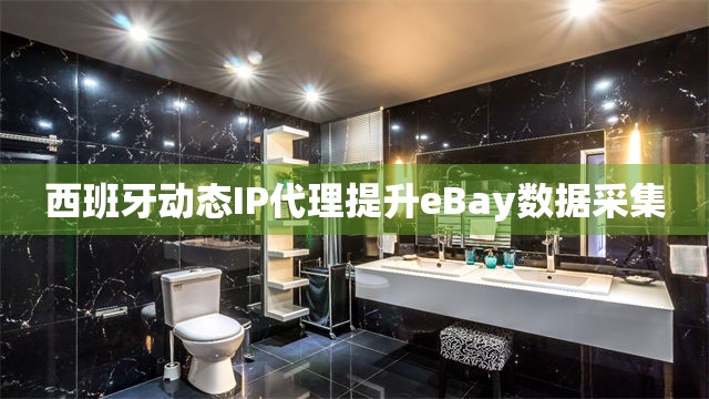 西班牙动态IP代理提升eBay数据采集