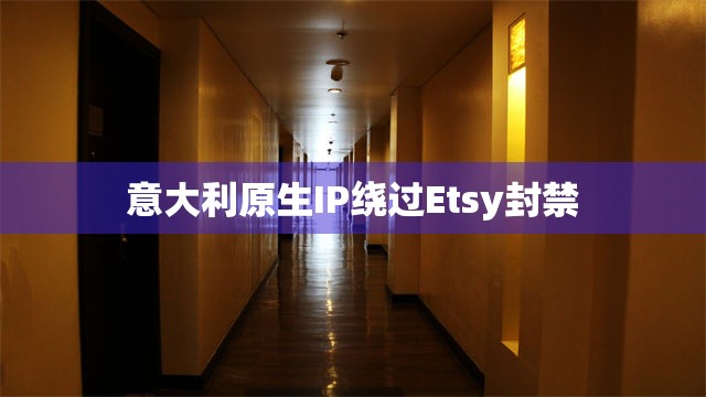 意大利原生IP绕过Etsy封禁