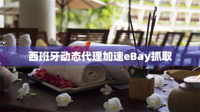 西班牙动态代理加速eBay抓取