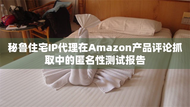 秘鲁住宅IP代理在Amazon产品评论抓取中的匿名性测试报告