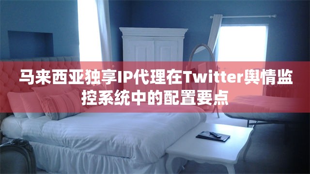 马来西亚独享IP代理在Twitter舆情监控系统中的配置要点