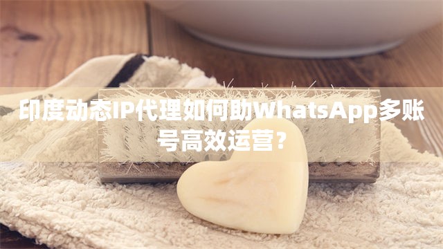 印度动态IP代理如何助WhatsApp多账号高效运营？