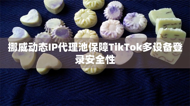 挪威动态IP代理池保障TikTok多设备登录安全性