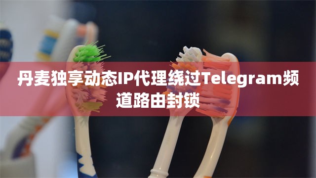 丹麦独享动态IP代理绕过Telegram频道路由封锁