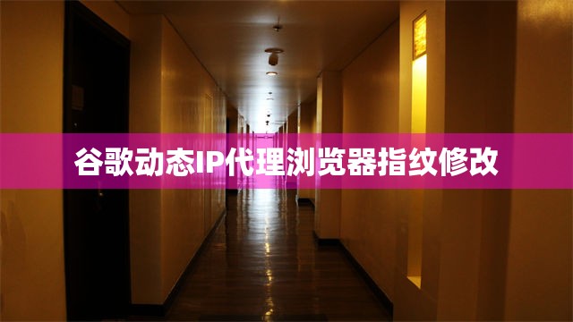 谷歌动态IP代理浏览器指纹修改