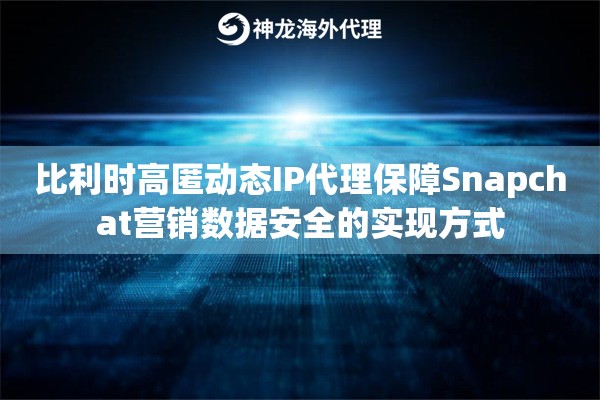 比利时高匿动态IP代理保障Snapchat营销数据安全的实现方式