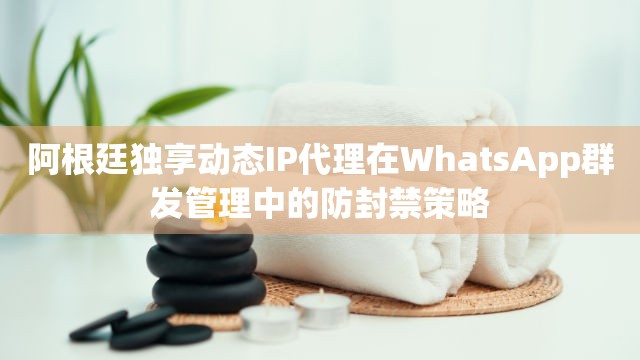 阿根廷独享动态IP代理在WhatsApp群发管理中的防封禁策略