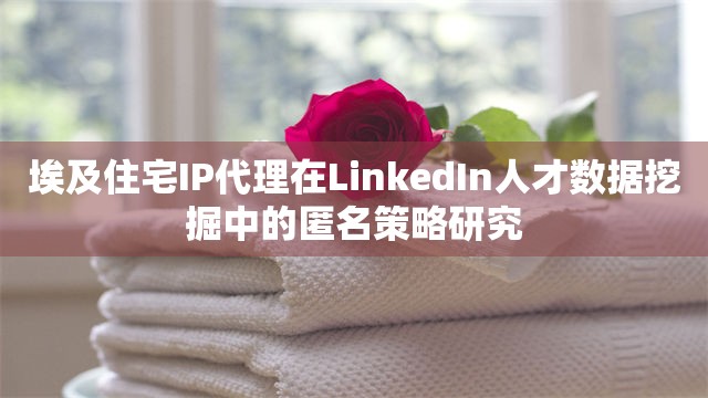 埃及住宅IP代理在LinkedIn人才数据挖掘中的匿名策略研究