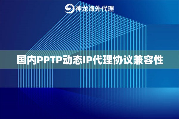 国内PPTP动态IP代理协议兼容性