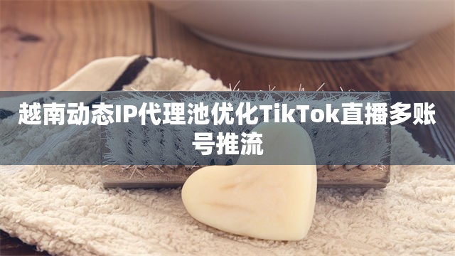 越南动态IP代理池优化TikTok直播多账号推流