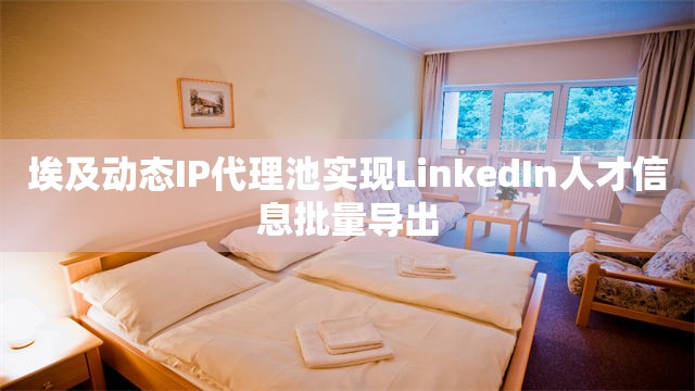 埃及动态IP代理池实现LinkedIn人才信息批量导出