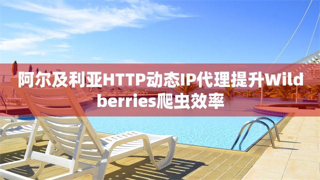 阿尔及利亚HTTP动态IP代理提升Wildberries爬虫效率