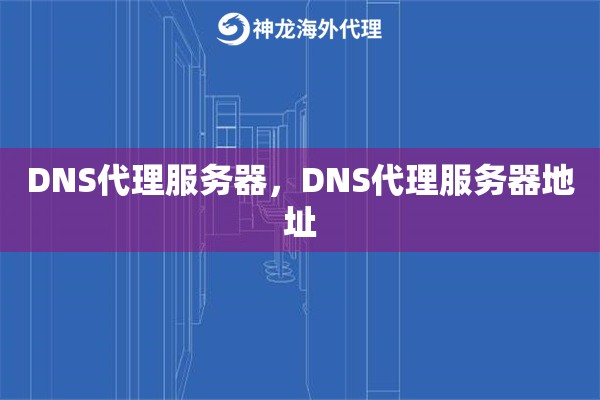 DNS代理服务器，DNS代理服务器地址